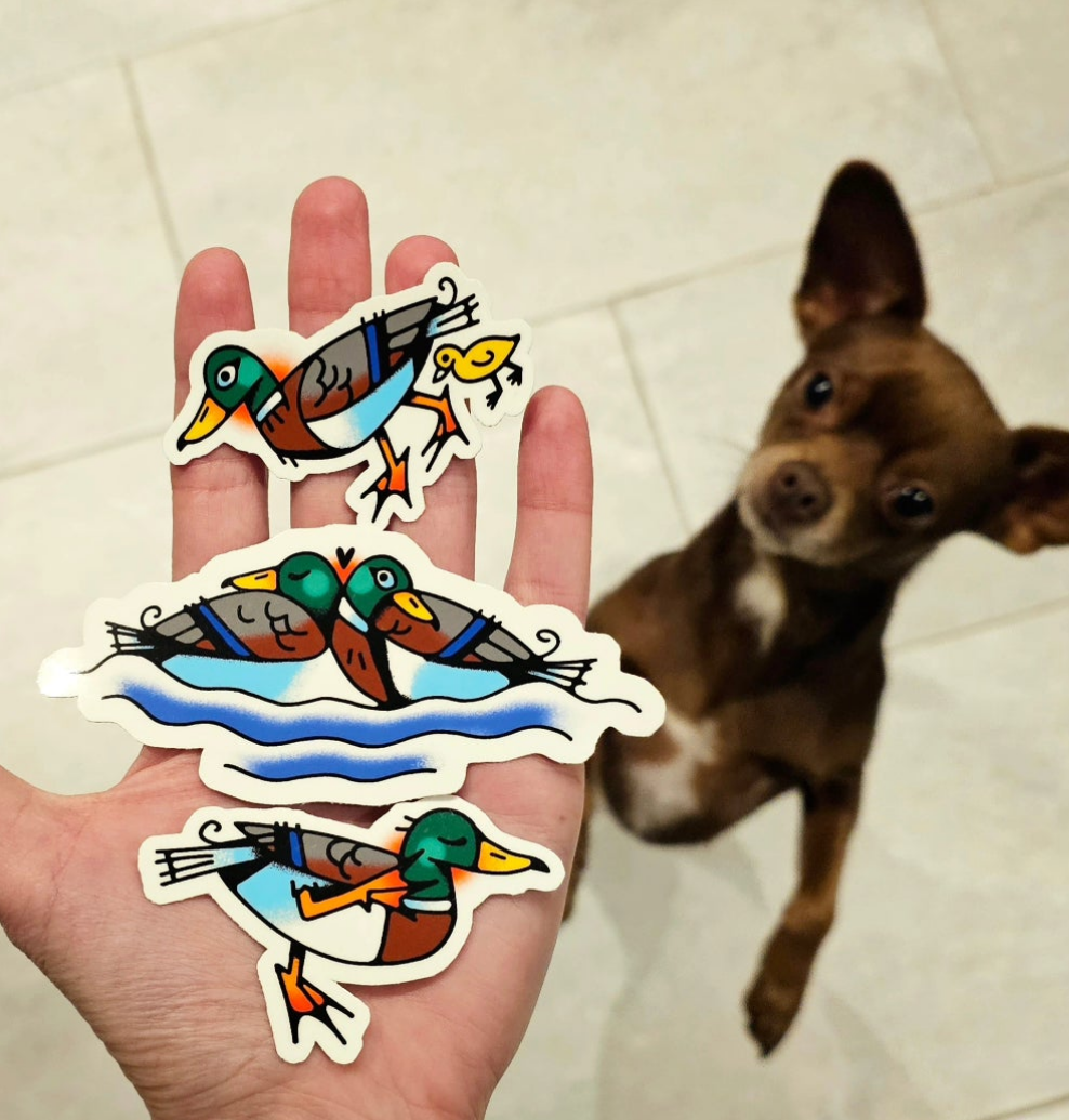 Duck Stickers 3-Pack